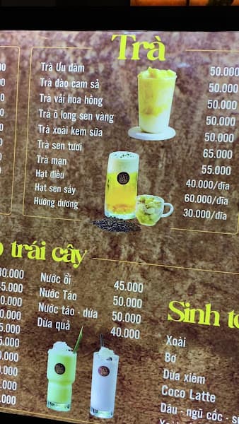 Hình ảnh Ưu Đàm Trà Hoa - 4