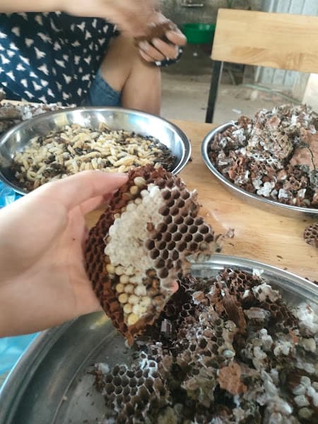Hình ảnh Cơm Xe Tải Thu Hương - 2