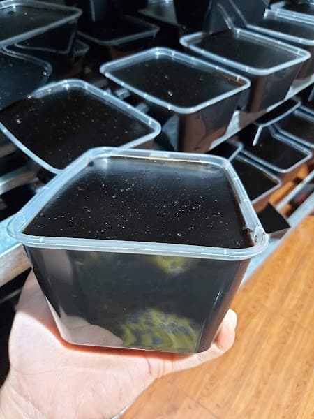 Ảnh bìa Thạch Đen Nông Hoa