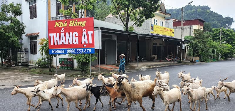 Hình ảnh Nhà hàng Thắng Ật - 3