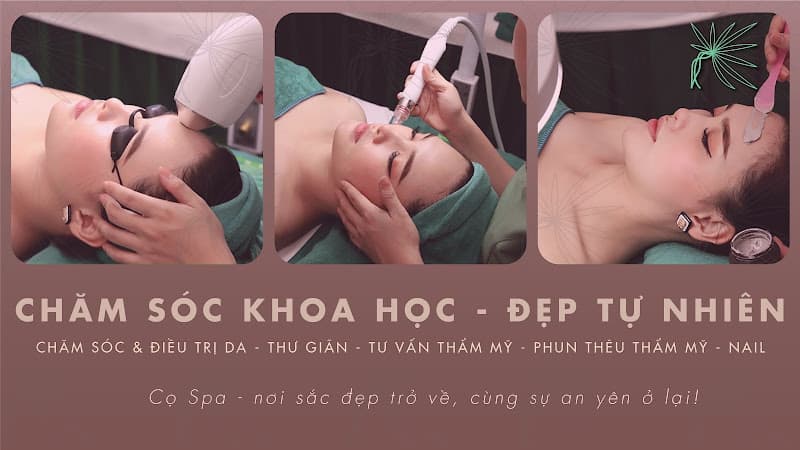 Hình ảnh CỌ SPA - 2