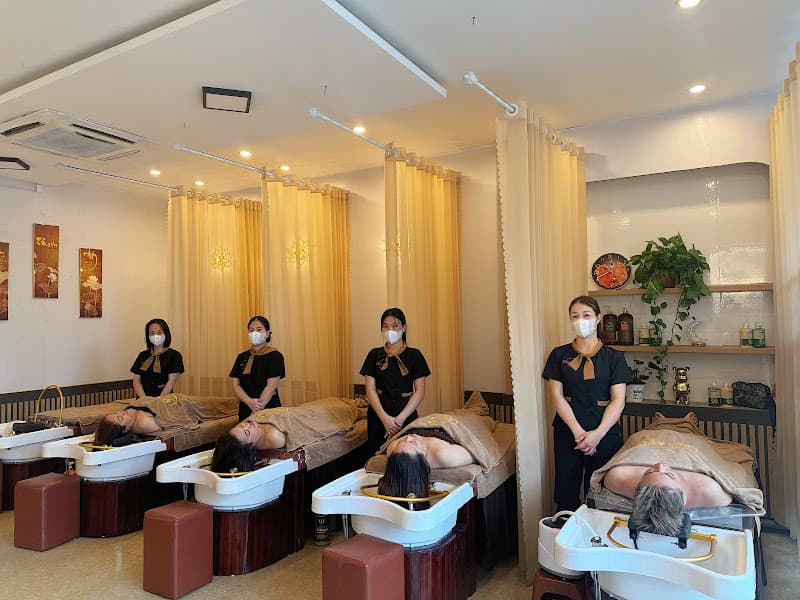 Ảnh bìa Dưỡng Sinh Tâm An