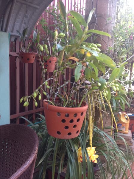Hình ảnh Cafe Huyen - 3
