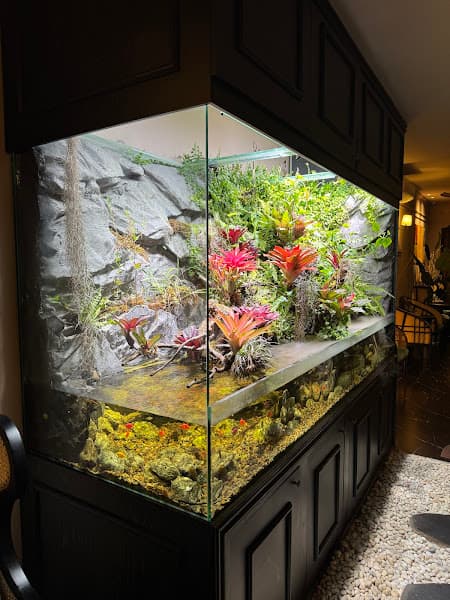 Hình ảnh Serene Spa - 4