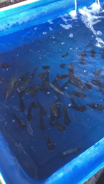 Hình ảnh Nhà hàng ÁiLuân - 5