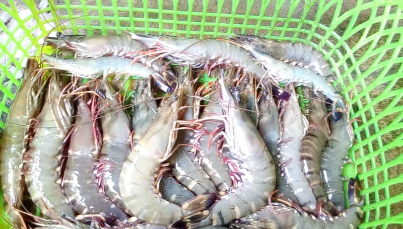 Hình ảnh Cà Phê Như Ý - 2