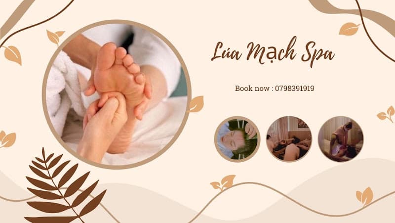 Ảnh bìa LÚA MẠCH SPA & Massage