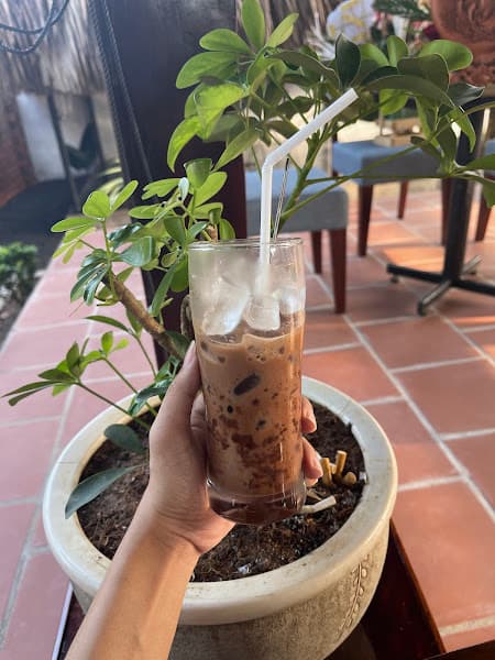 Hình ảnh CÀ PHÊ TREE HOUSE COFFEE - 4