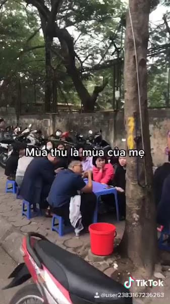 Hình ảnh Bún Đậu Mắm Tôm - Cô Thủy Thương Mại - 3