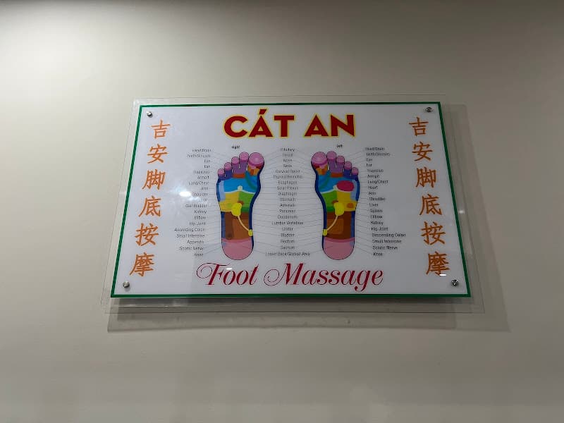 Hình ảnh Cat an foot massage - 4