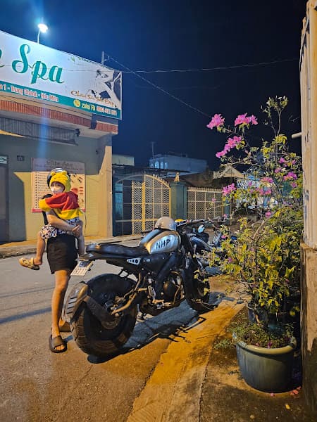Hình ảnh Bánh tráng trộn mỡ hành Cô Hạnh - 4