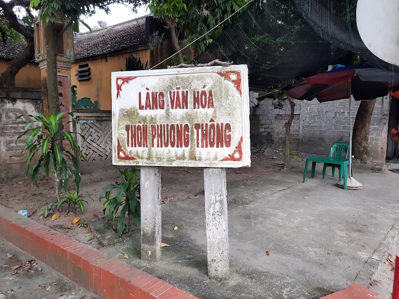 Hình ảnh Cây Đa Năm Chân - 4