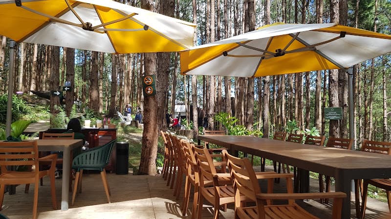 Ảnh bìa Rừng Thông Mơ Farm & Bistro