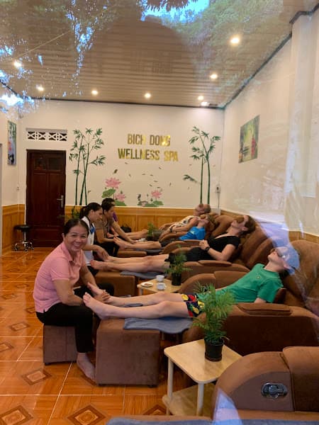 Hình ảnh Bich Dong - Wellness Spa - 2