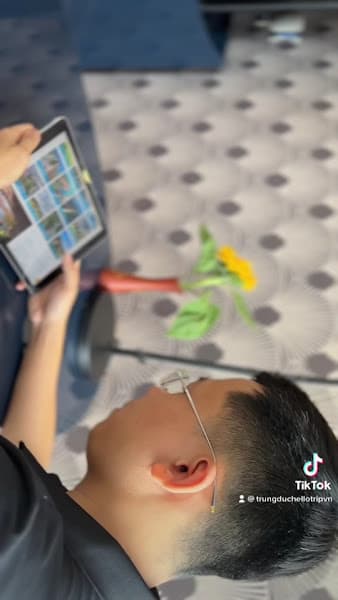 Hình ảnh Công Ty TNHH Hello Trip Việt Nam - 3