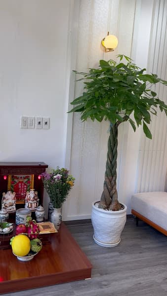 Hình ảnh HER Skincare & Spa - 3