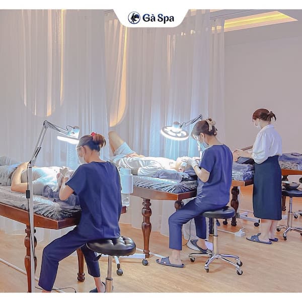 Ảnh bìa Gà Spa Cần Thơ