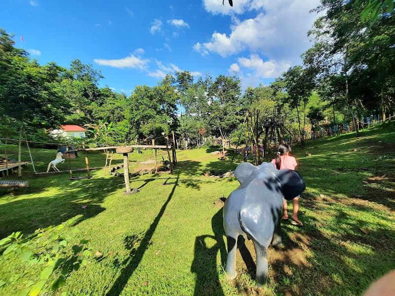 Hình ảnh Thung Lũng Hoa Ban Sơn La - 3
