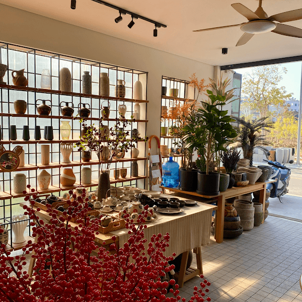 Ảnh bìa MÂY decor Sơn La