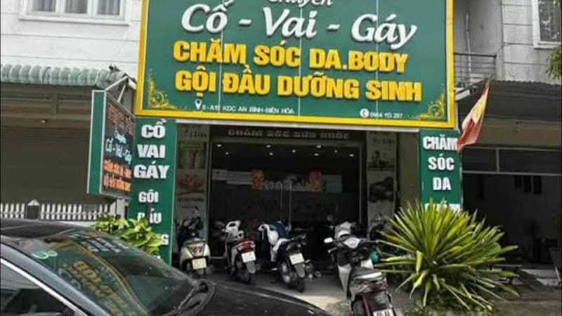 Ảnh bìa Thạch Yên. Cổ-Vai-Gáy Biên Hoà