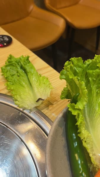 Hình ảnh 이태원 하롱점 Nhà hàng Hàn Quốc Itaewon - 4