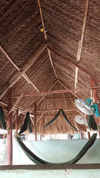 Hình ảnh Cafe Cây Vú Sữa - 3