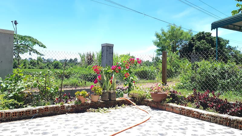 Hình ảnh Heo quay Hoàng Ý - Heo quay Lạng Sơn - 4
