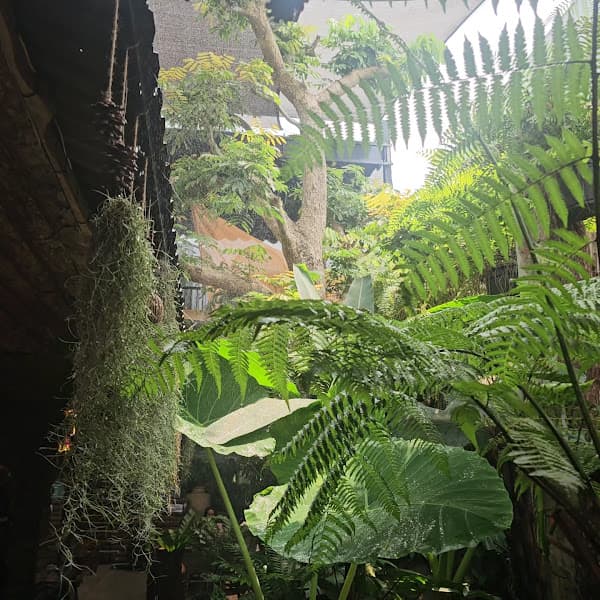Hình ảnh Tiệm cafe BNB - 4