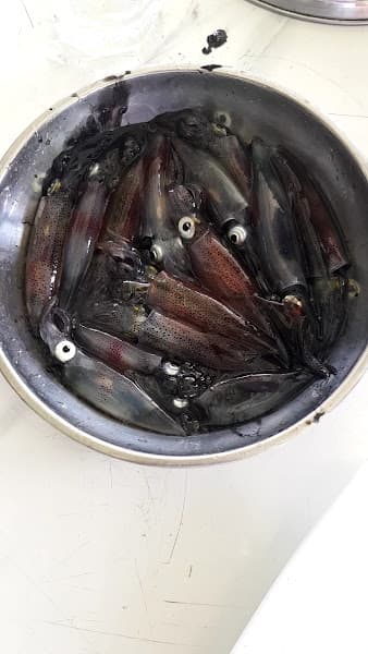 Hình ảnh Nhà Hàng Qb Biển - 4