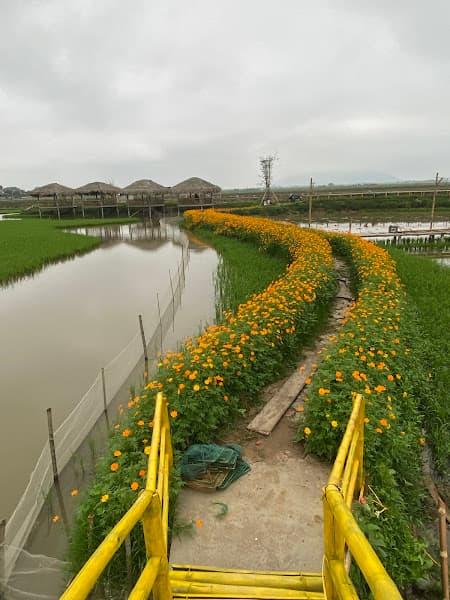 Hình ảnh THÔN TRANG LIÊN NHẬT - 2