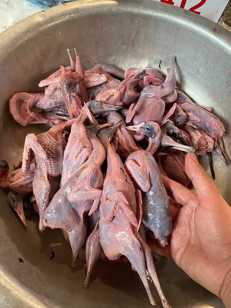Hình ảnh Nhà Hàng Chim Thái Lan - 3