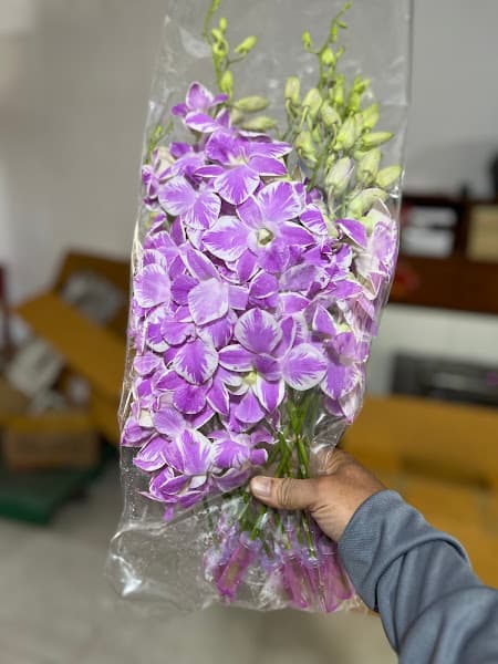 Hình ảnh Gỏi đu đủ thái lan - 2