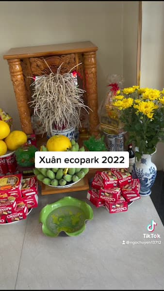 Hình ảnh VUA TRỊ LIỆU - 3