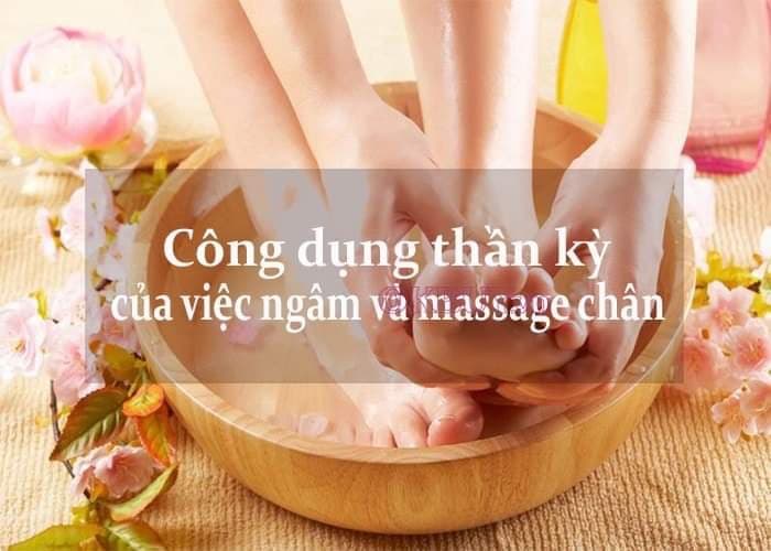Hình ảnh 1 - 3