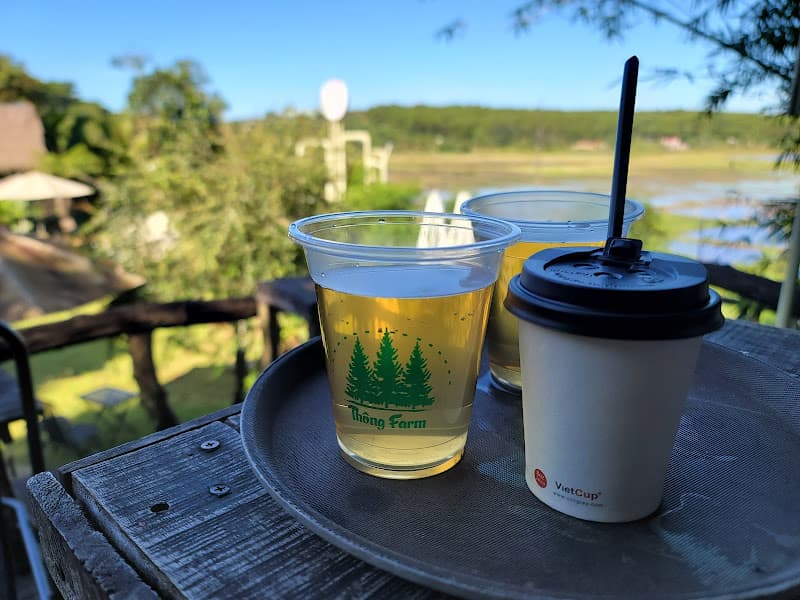 Hình ảnh Thông Farm & Bistro - 2