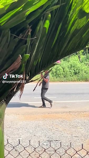 Hình ảnh Cơm Xe Tải Thu Hương - 4