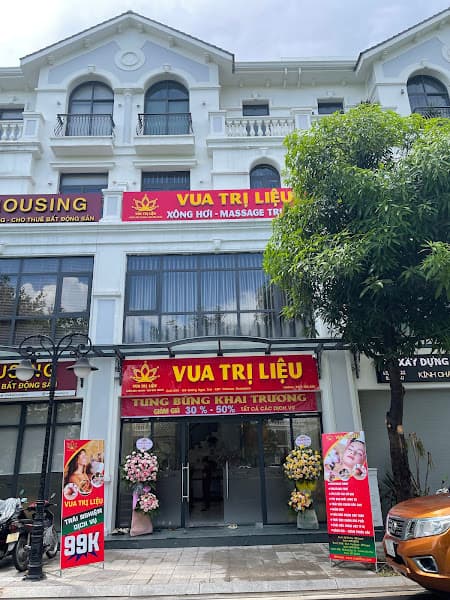 Ảnh bìa VUA TRỊ LIỆU