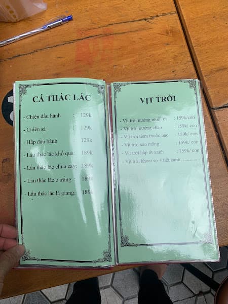 Hình ảnh Cây Bồng Quán - 2