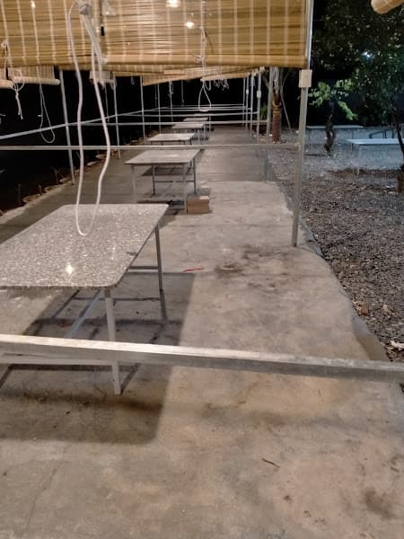 Hình ảnh Quán ăn Nhất Nướng - 2