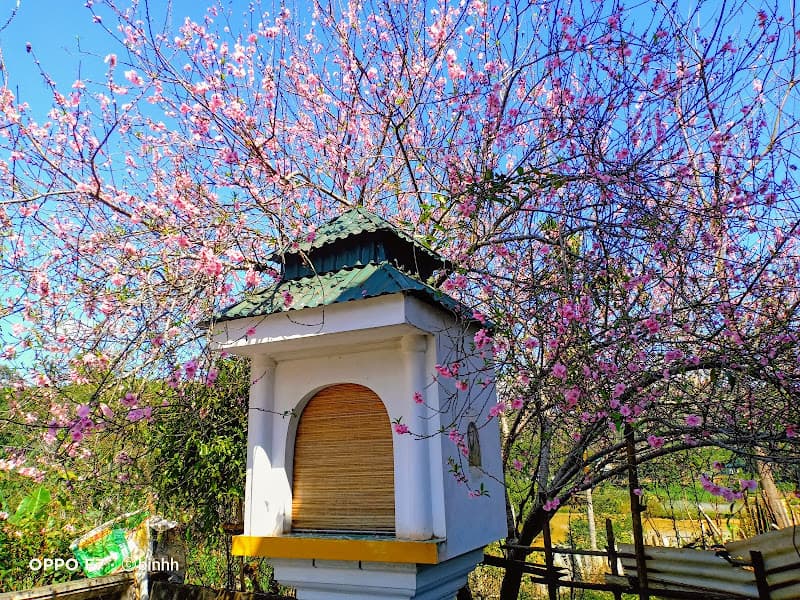 Ảnh bìa Nhà Thái Lụa