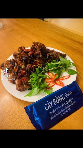 Hình ảnh Cây Bồng Quán - 3