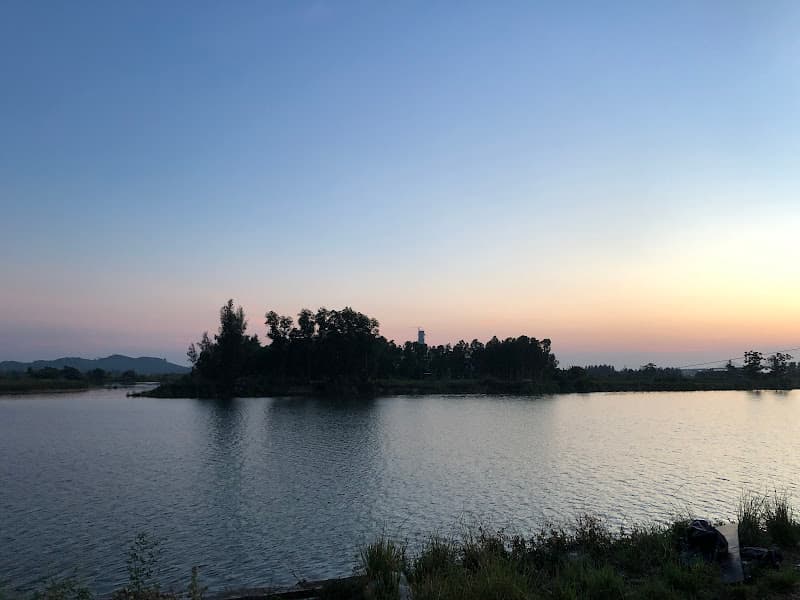 Hình ảnh Don Cây Xanh - 2