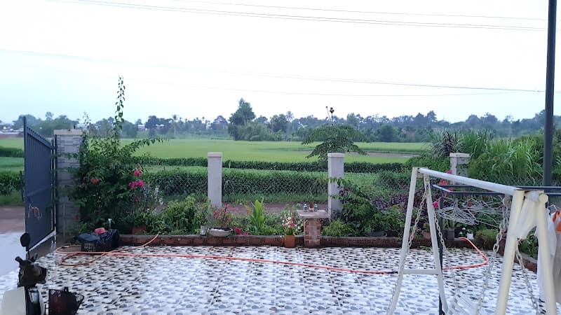 Hình ảnh Heo quay Hoàng Ý - Heo quay Lạng Sơn - 3