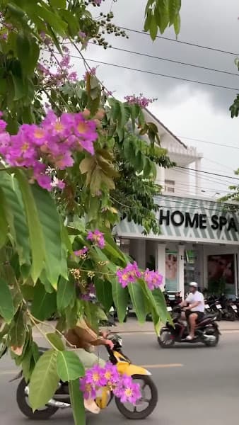 Hình ảnh Lona Home Spa - 4