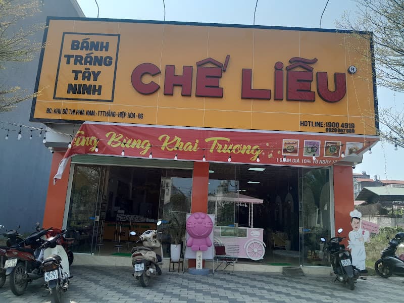 Ảnh bìa Báng Tráng Chế Liễu Bắc Giang