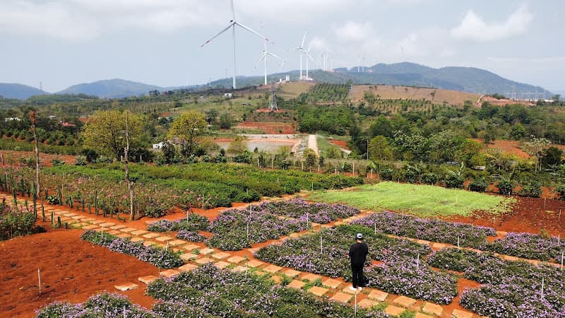 Ảnh bìa Chân trời Farm