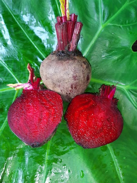 Hình ảnh Cơ Sở Phở Sạch Thu Nga - 5