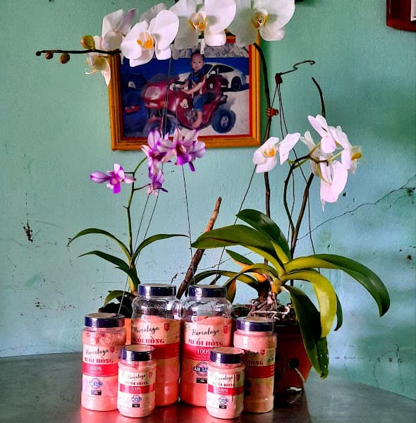 Hình ảnh Tiến Sĩ Muối Himalaya AM Qaisar Pleiku GiaLai - 5