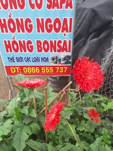 Hình ảnh Spa - Massage Hải Âu - 2