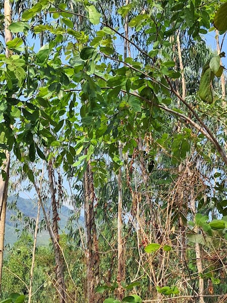 Hình ảnh 63/11 Trần Hưng Đạo - 4